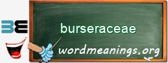 WordMeaning blackboard for burseraceae